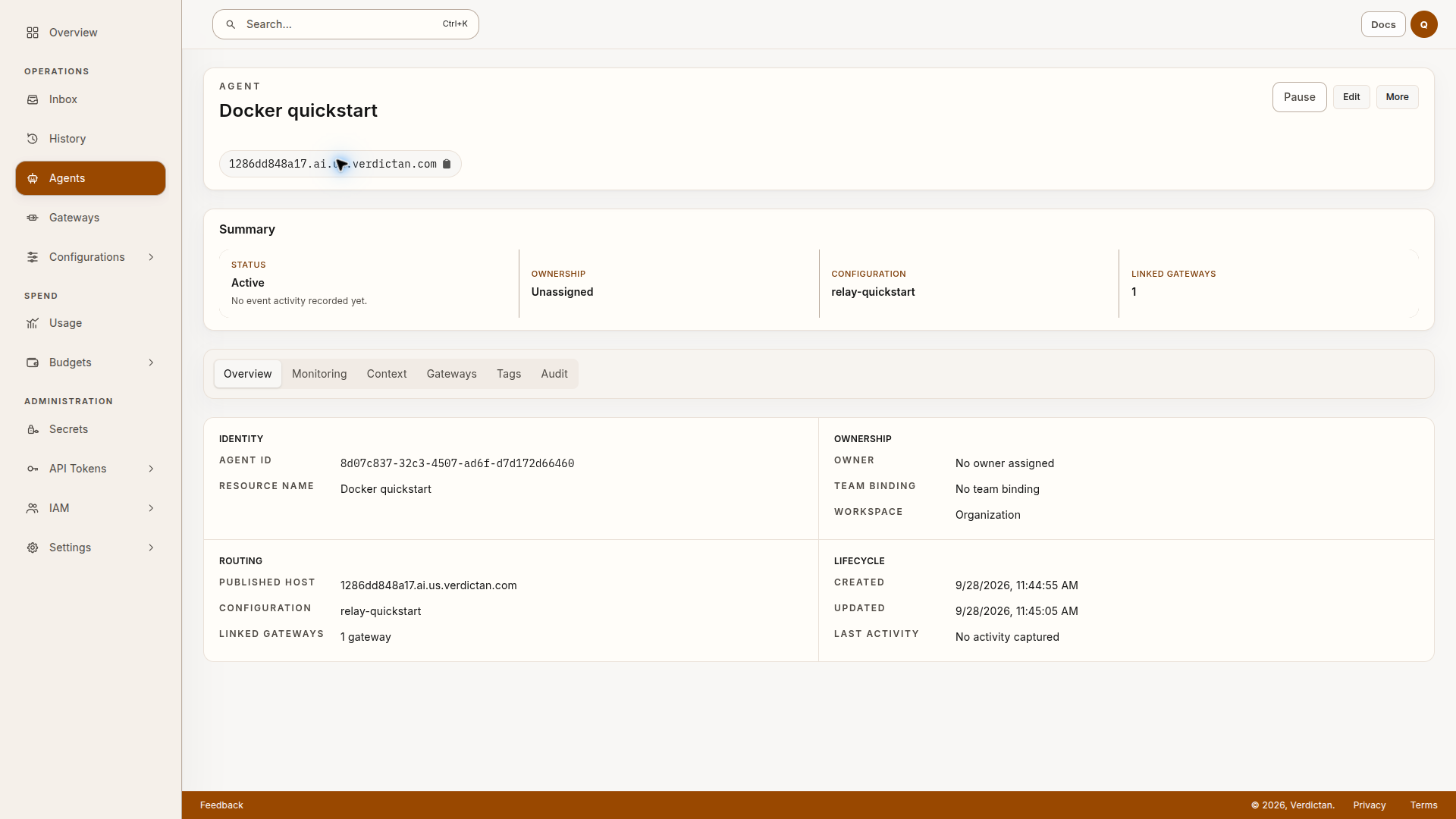 Agent overview with the copyable published hostname below Docker quickstart and the Published host field under Routing.